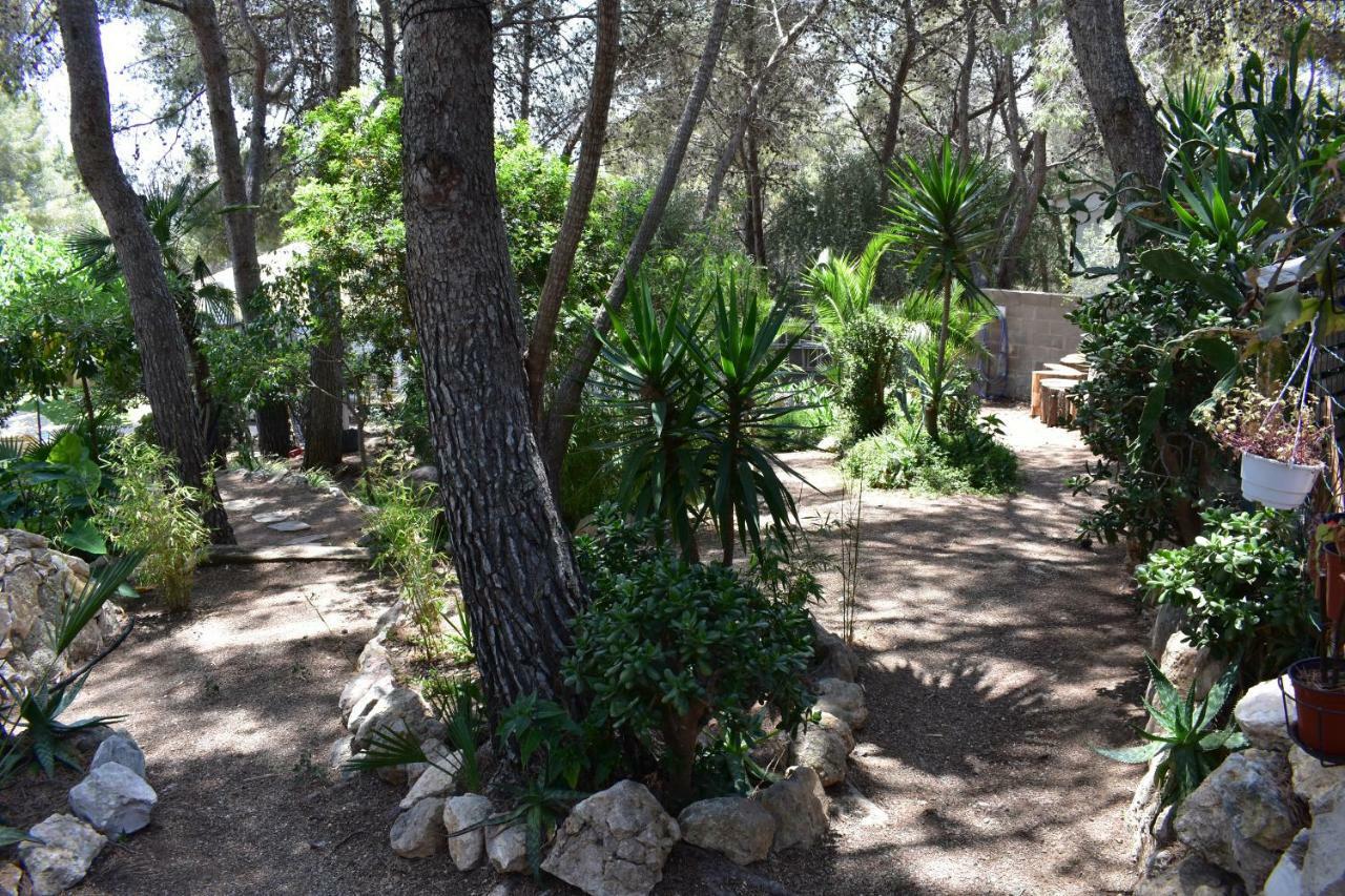 טראגונה Villa Garden מראה חיצוני תמונה