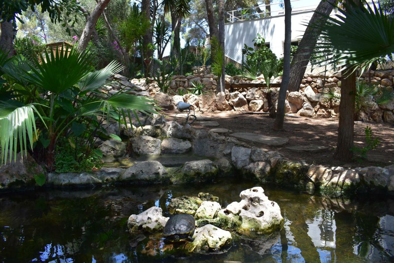 טראגונה Villa Garden מראה חיצוני תמונה